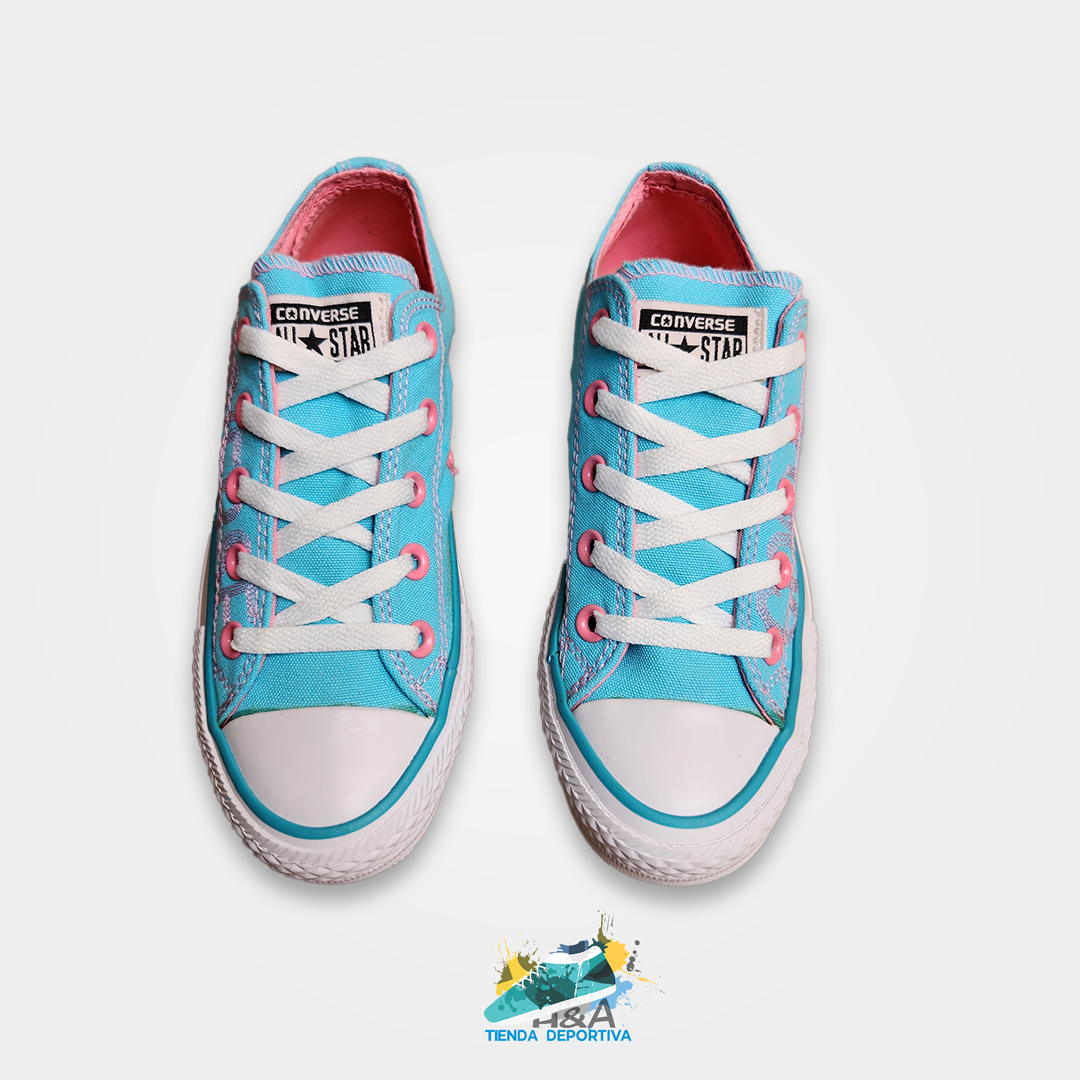 Converse Chuck Taylor Handpainted Azul y rosado