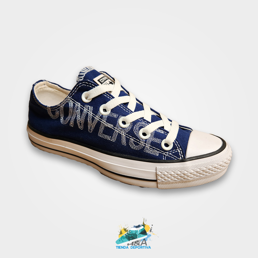 Converse Chuck Taylor Handpainted Azul