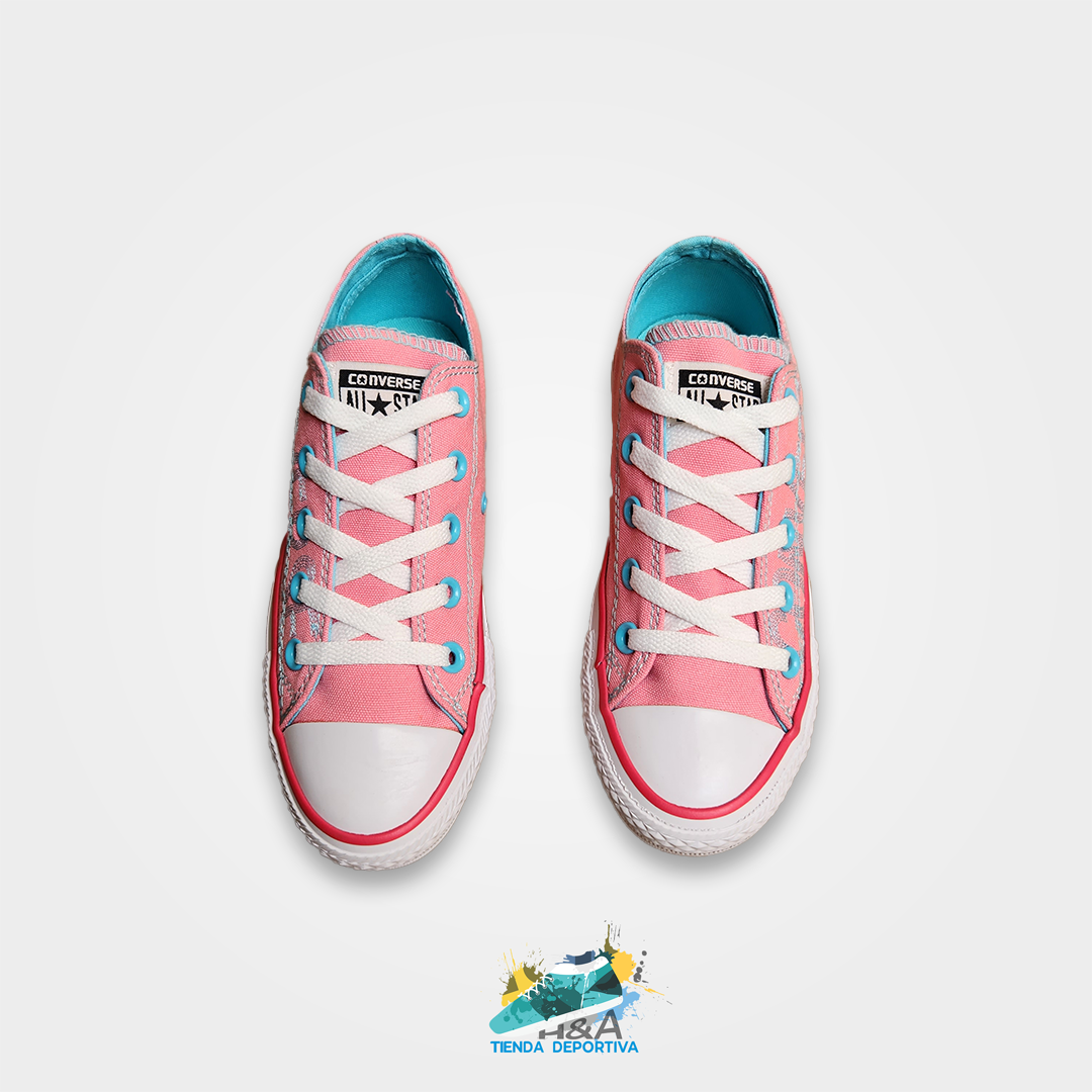 Converse Chuck Taylor Handpainted Rosados