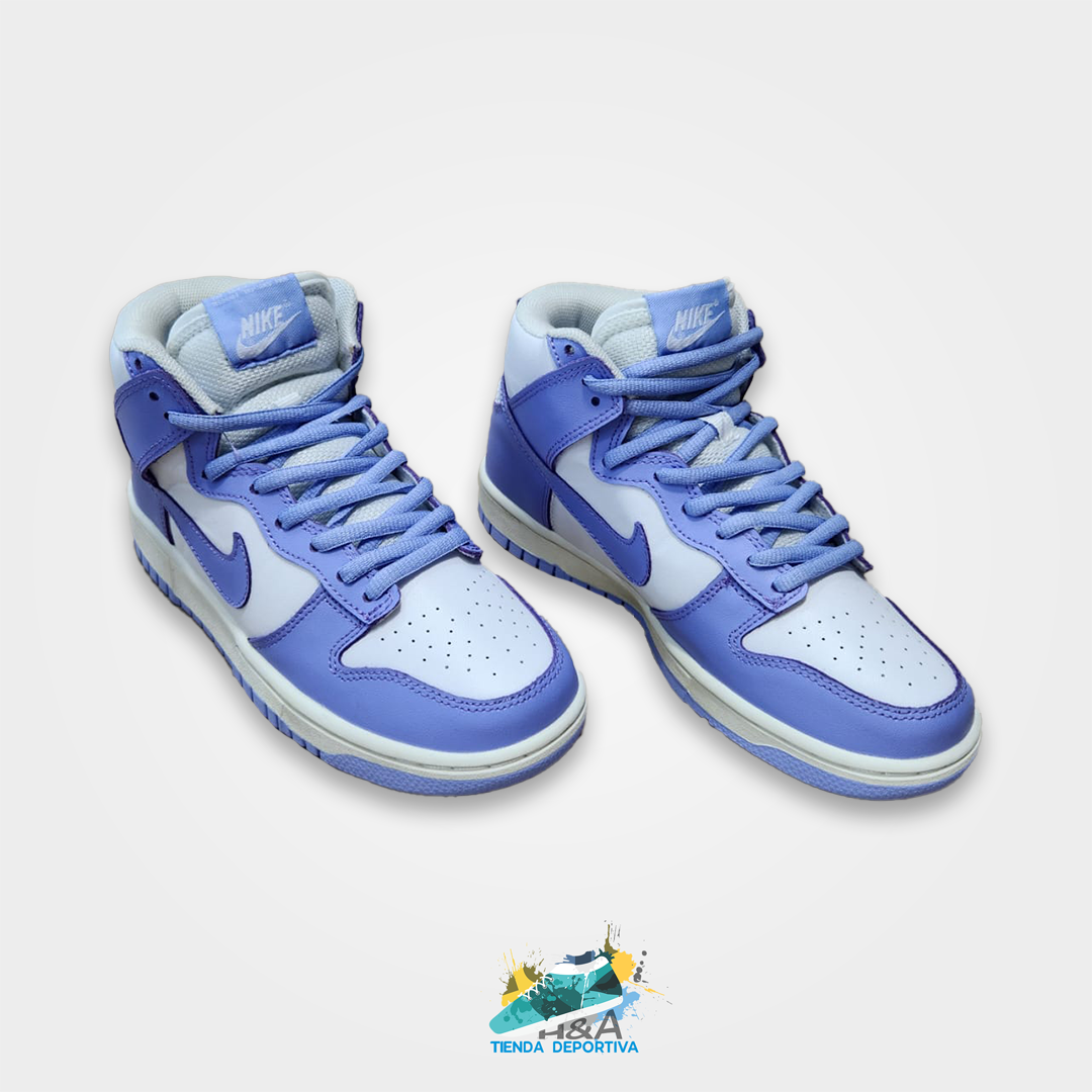 Nike Dunk High Blue & White